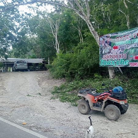 Campamento Yaax Che en Calakmul Conhuas Exterior foto