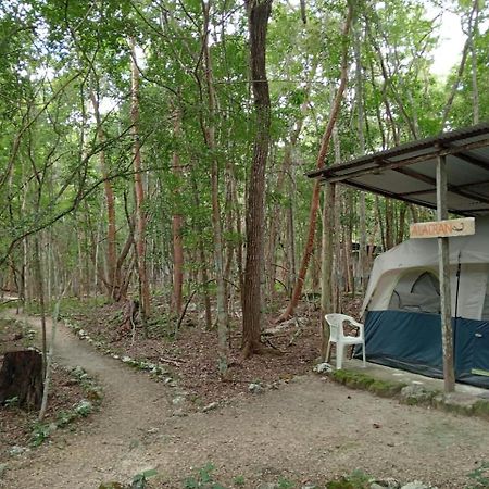 Campamento Yaax Che en Calakmul Conhuas Exterior foto