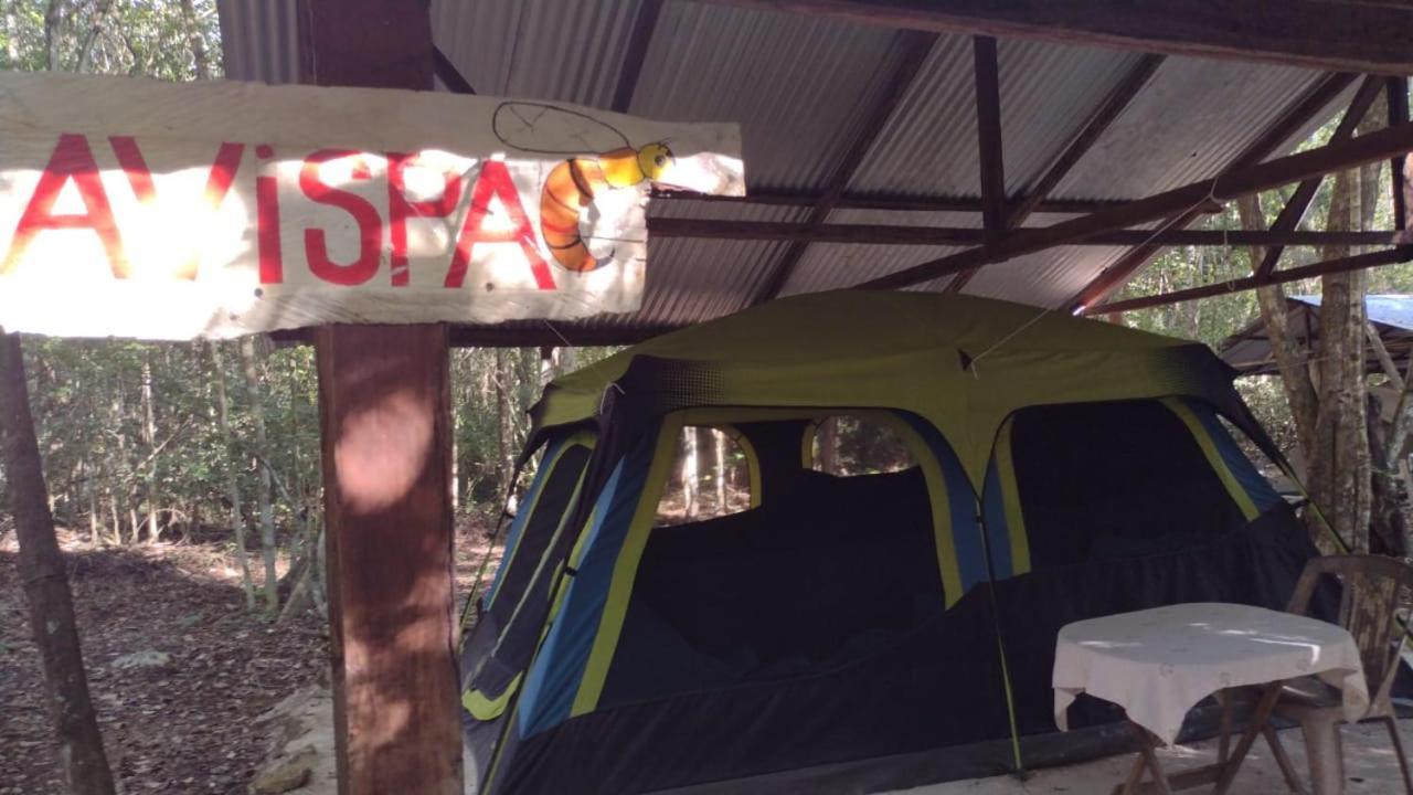 Campamento Yaax Che en Calakmul Conhuas Exterior foto