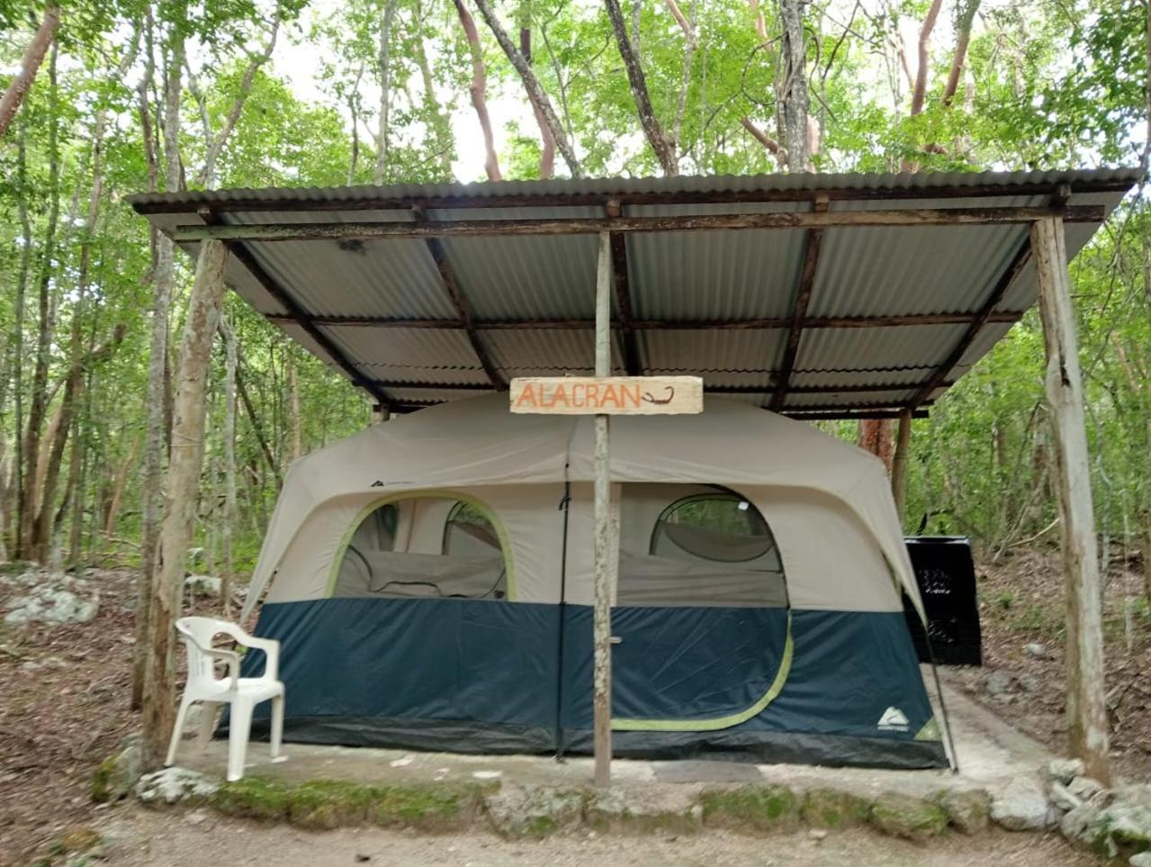 Campamento Yaax Che en Calakmul Conhuas Habitación foto