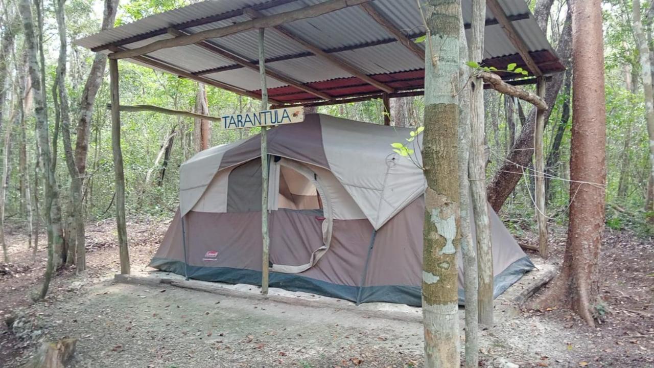 Campamento Yaax Che en Calakmul Conhuas Habitación foto