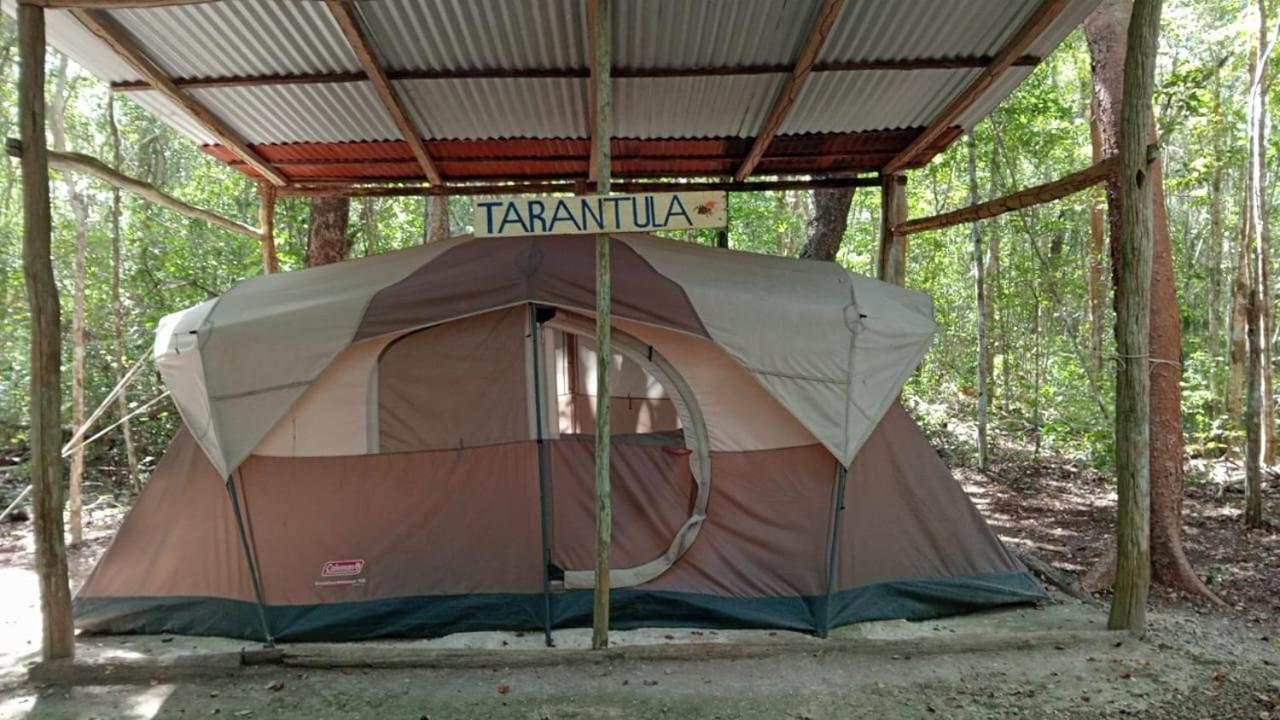 Campamento Yaax Che en Calakmul Conhuas Habitación foto