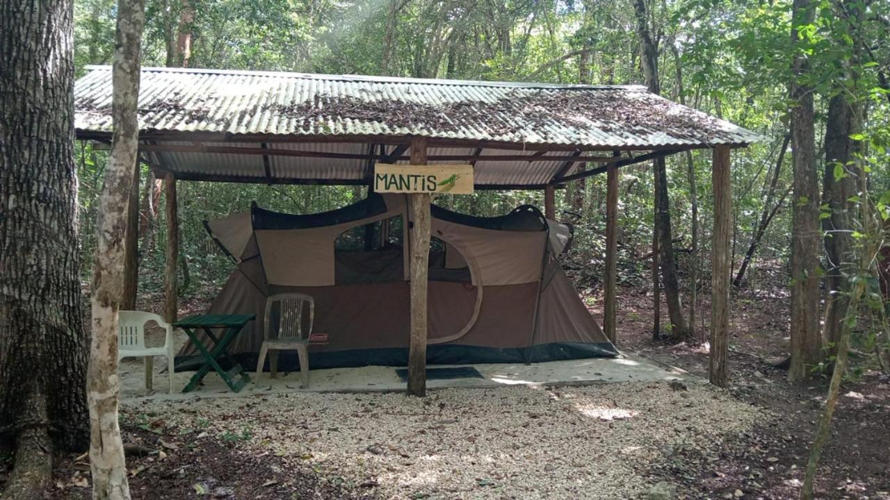 Campamento Yaax Che en Calakmul Conhuas Habitación foto
