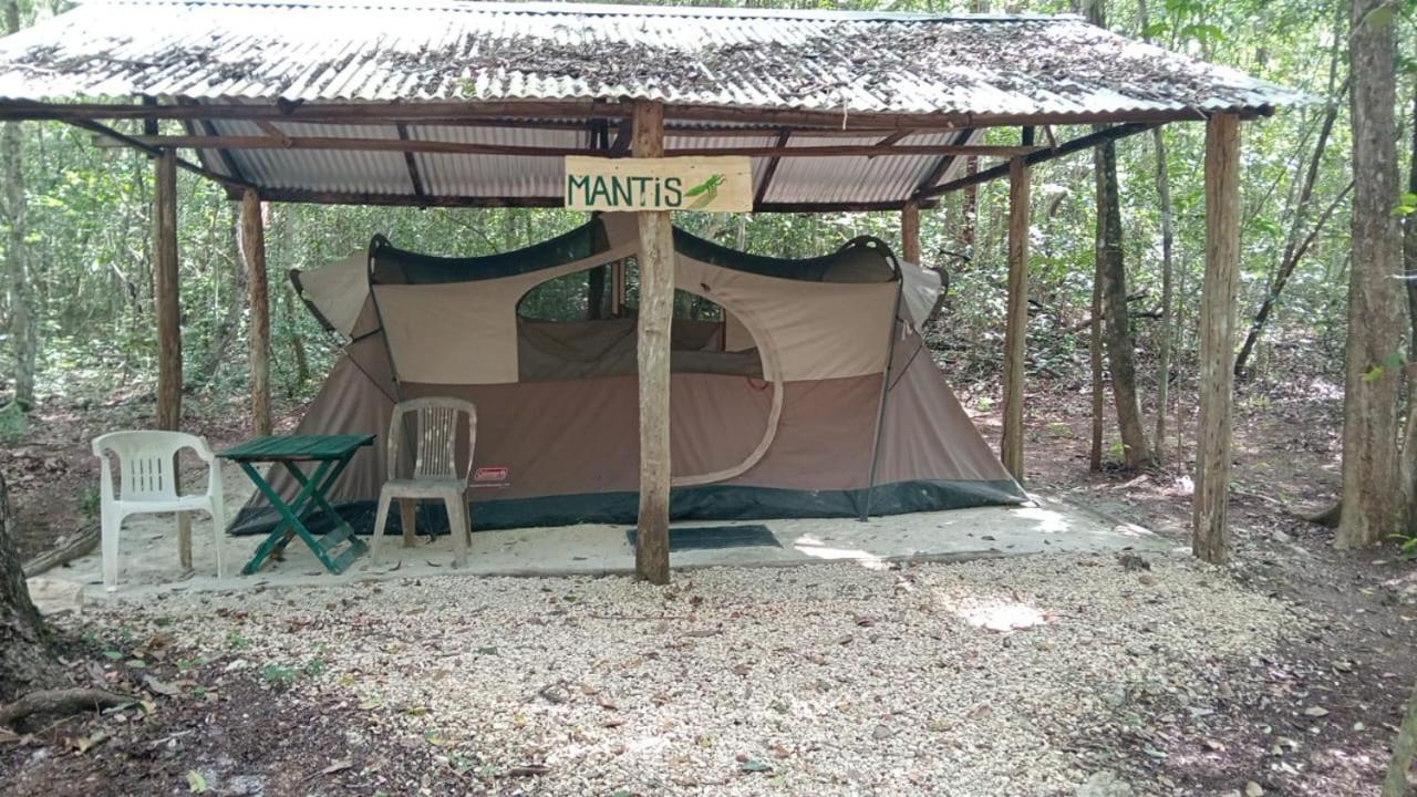 Campamento Yaax Che en Calakmul Conhuas Habitación foto