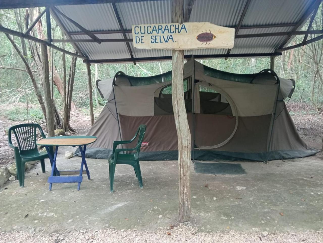 Campamento Yaax Che en Calakmul Conhuas Habitación foto