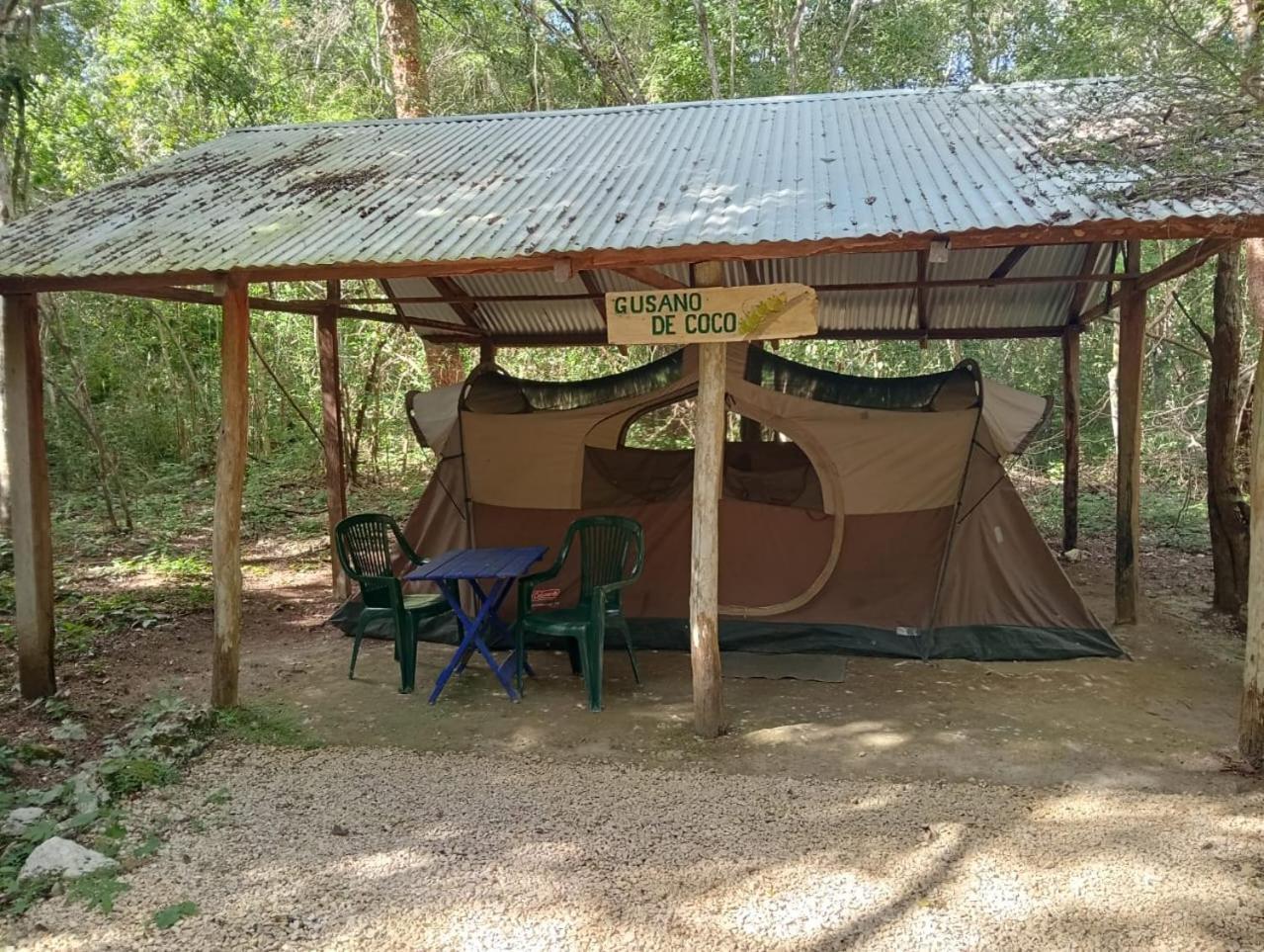 Campamento Yaax Che en Calakmul Conhuas Exterior foto