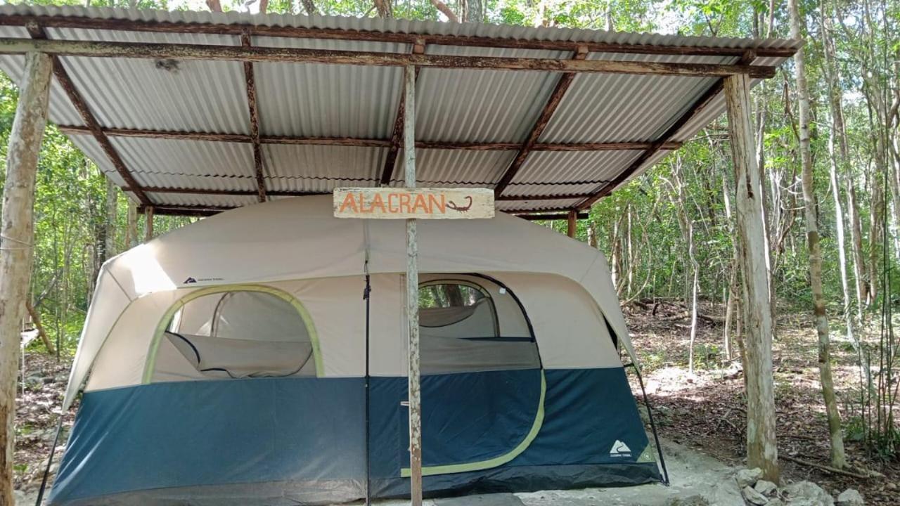 Campamento Yaax Che en Calakmul Conhuas Habitación foto