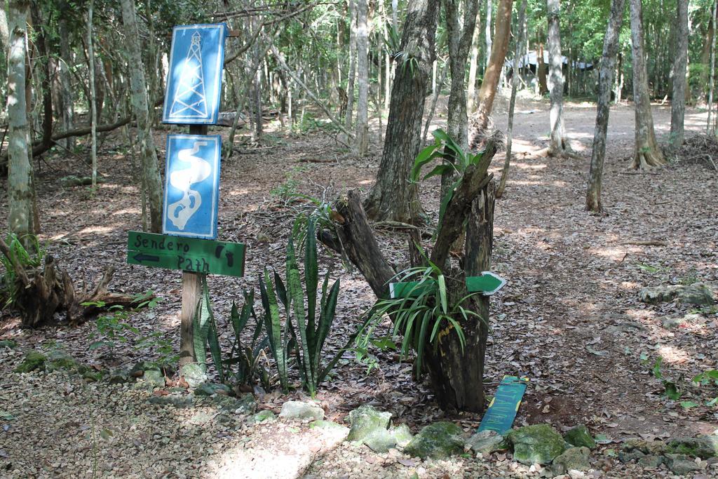 Campamento Yaax Che en Calakmul Conhuas Exterior foto
