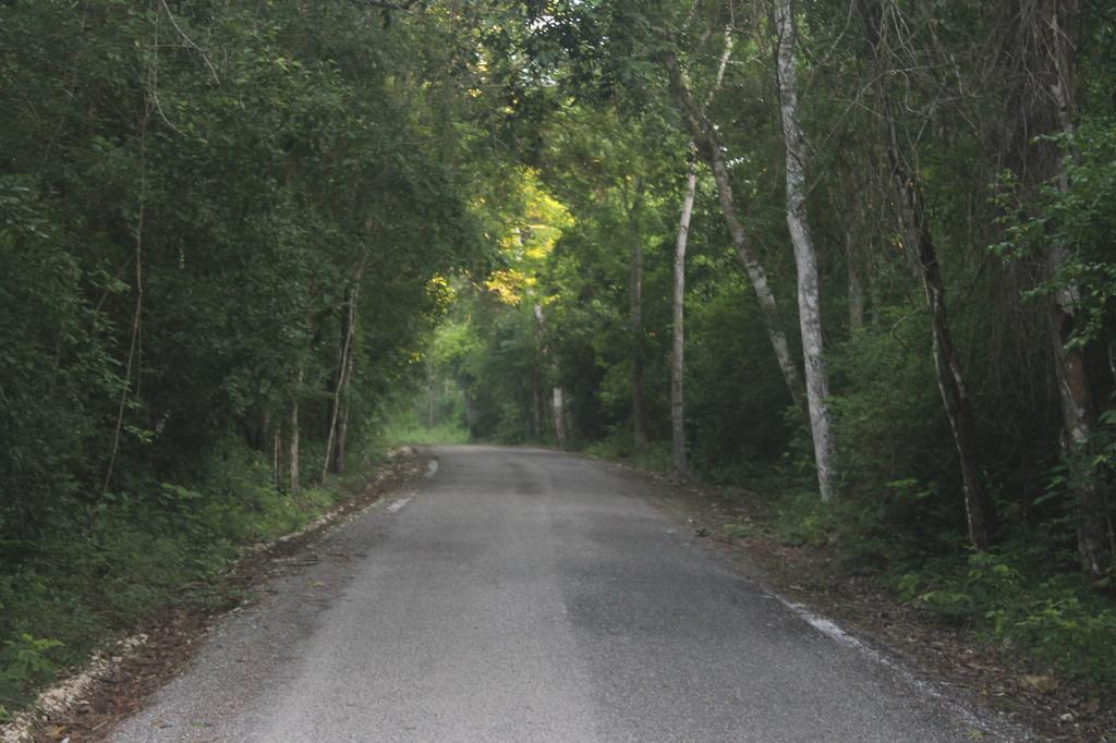 Campamento Yaax Che en Calakmul Conhuas Exterior foto