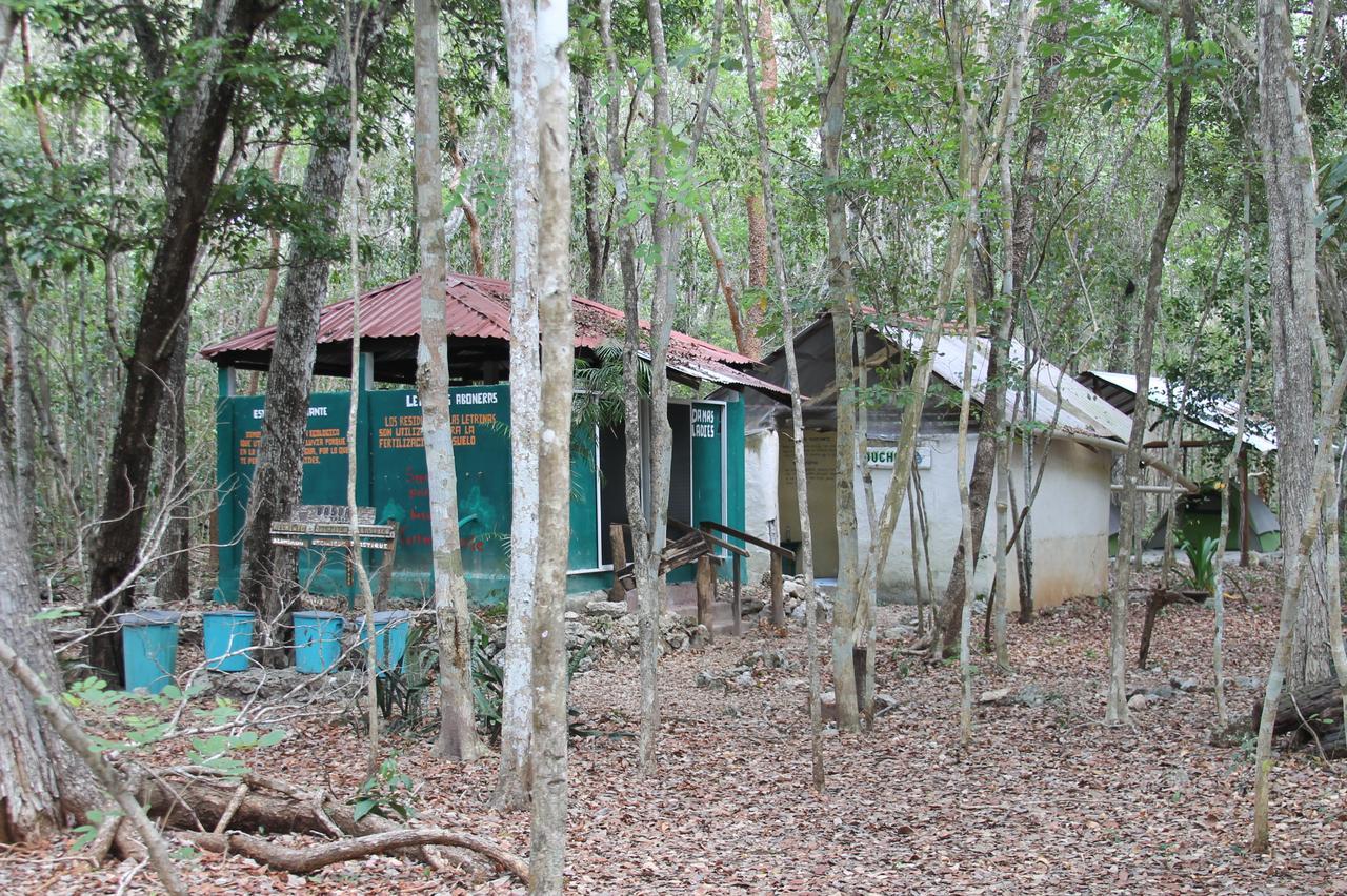 Campamento Yaax Che en Calakmul Conhuas Exterior foto